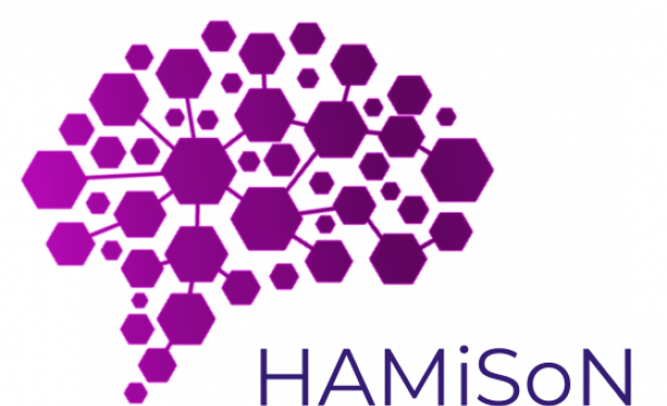 HAMiSoN: Holistic analysis of misinformation